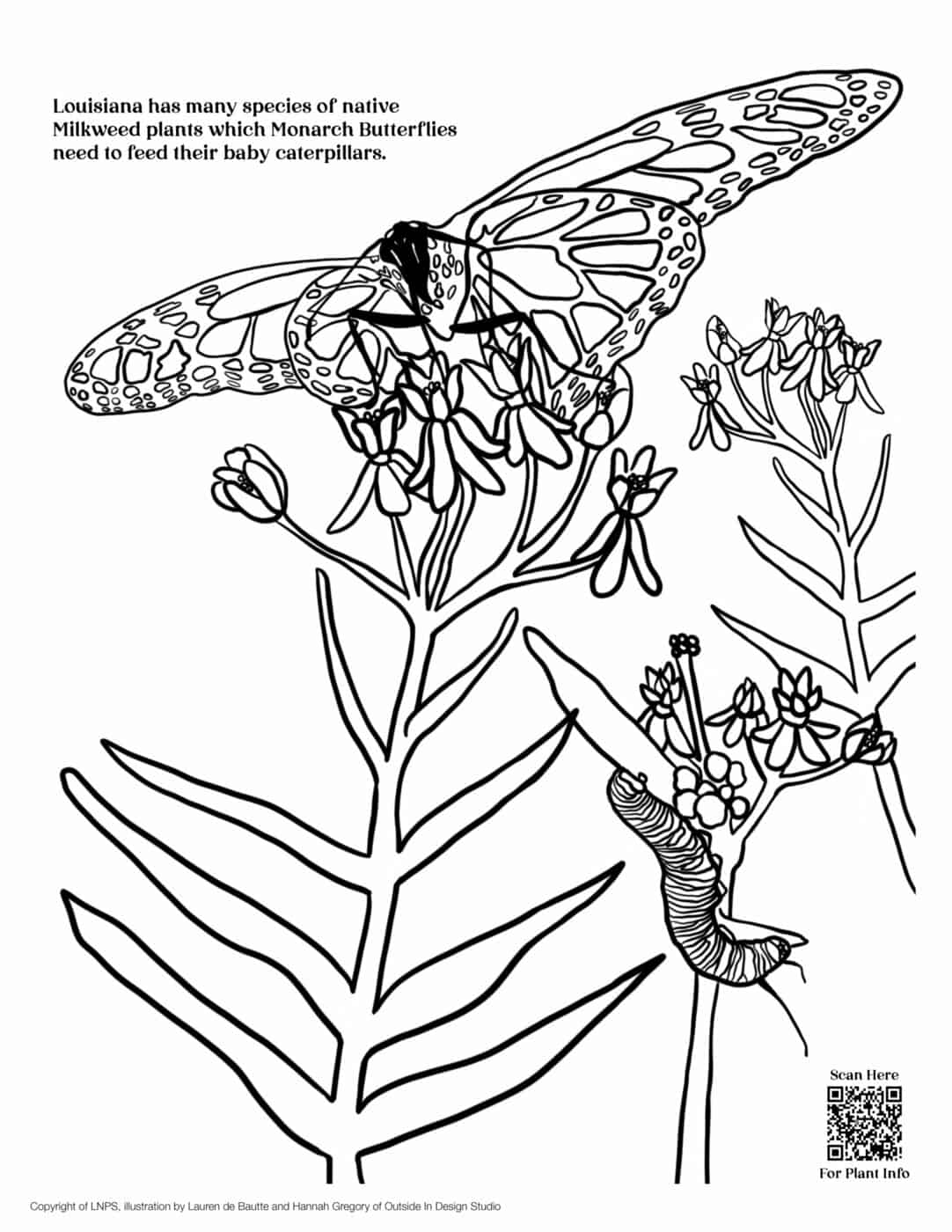 LNPS - Coloring Book - Milkweed_Monarchs