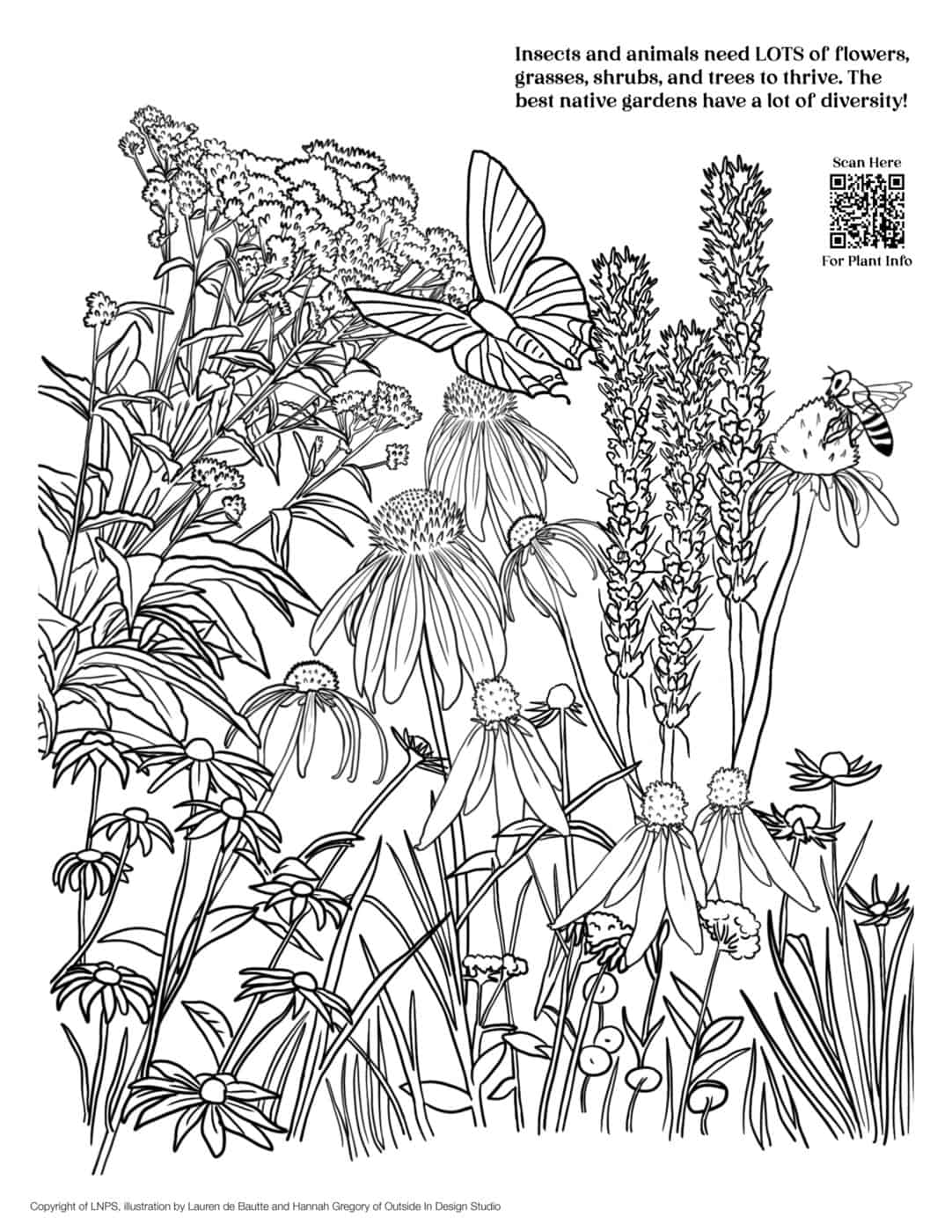 LNPS - Coloring Book - Mixed_Flowering_Garden