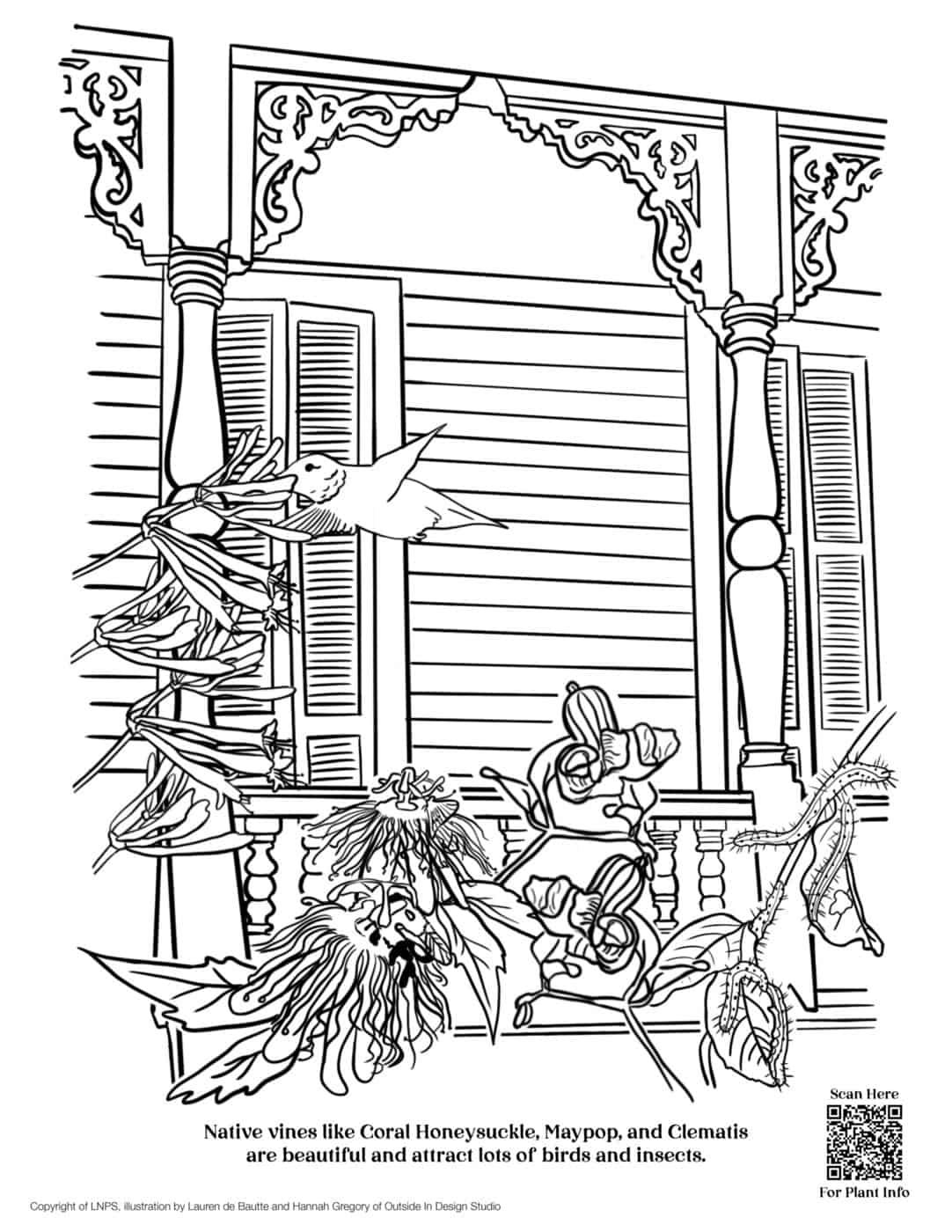 LNPS - Coloring Book - New_Orleans_Porch_with_Native_Vines