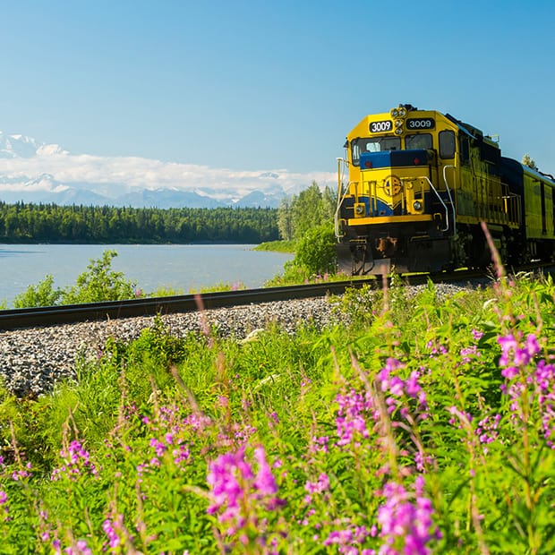 LNPS - train wildflowers