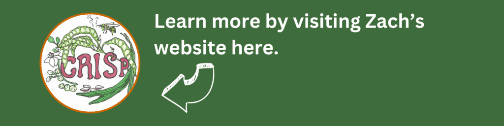 External Page - Crisp Website