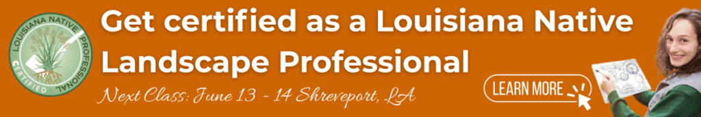 Native Professional Certification Banner