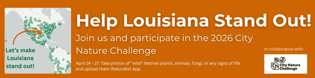 City Nature Challenge 2026